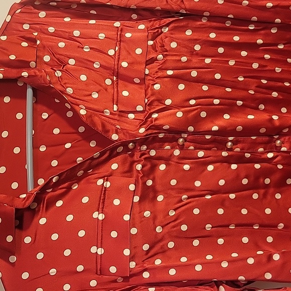 010 JNSQ 100% Mulberry Silk Blouse - Picture 7 of 16